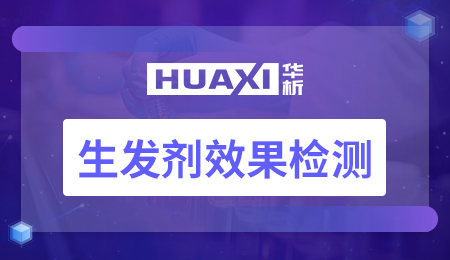 生发剂效果检测
