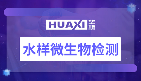 水样微生物检测