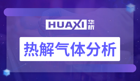 热解气体分析