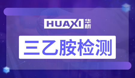 三乙胺检测