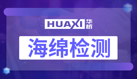 海绵检测 海绵检测