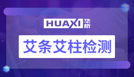 艾条艾柱检测